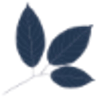 Phyto
