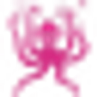 System Professional Lipidcode