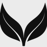 Vigorous Cosmetics